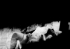 Escena [foto 02]